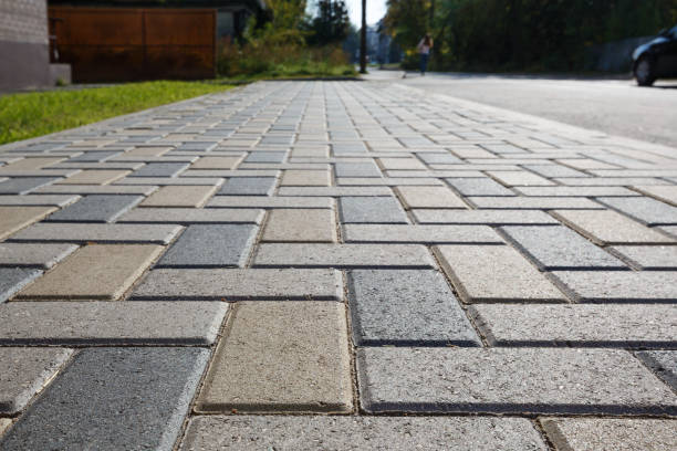 Best Professional Driveway Pavers  in Terry, MS