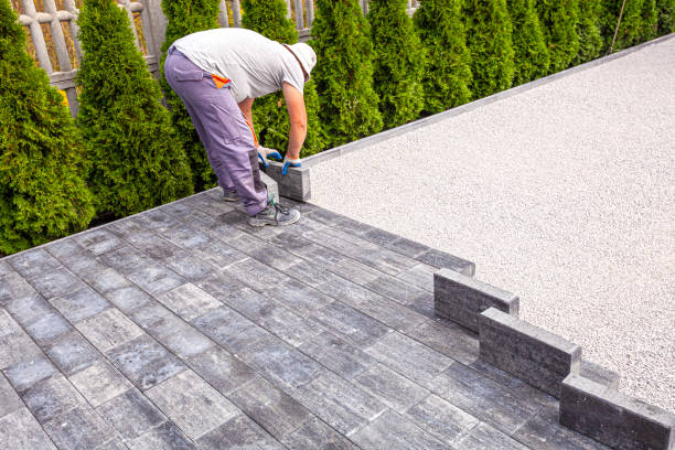Best Residential Paver Driveway  in Terry, MS