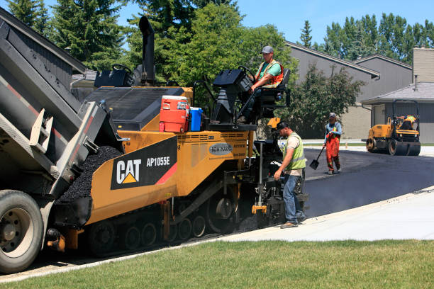 Best Best Driveway Pavers  in Terry, MS