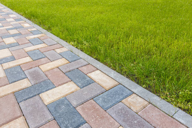 Best Residential Driveway Paver Services  in Terry, MS